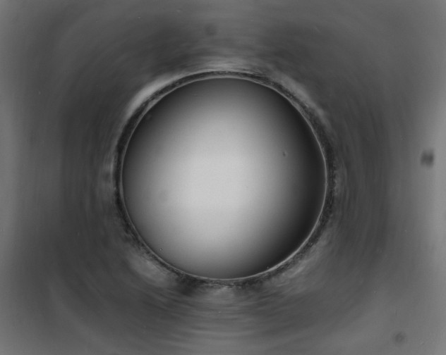 X0000101481222200807141407