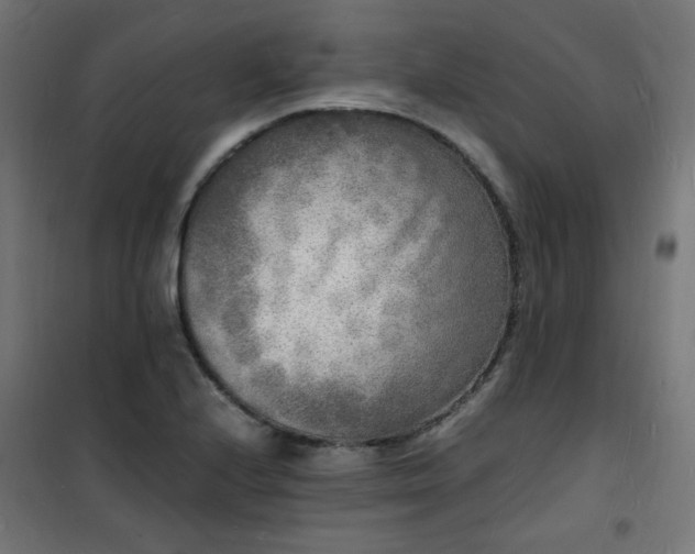 X0000101481224200807141407