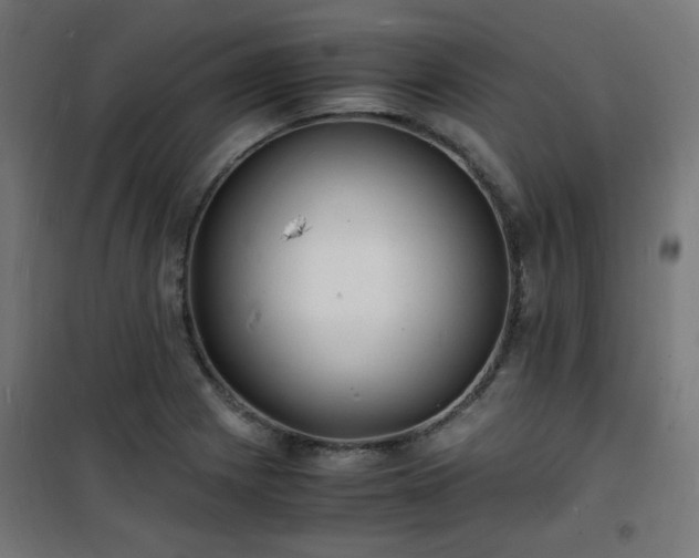 X0000101481225200807141407