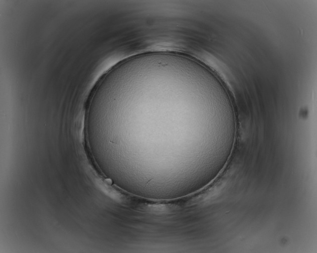 X0000101481227200807141407