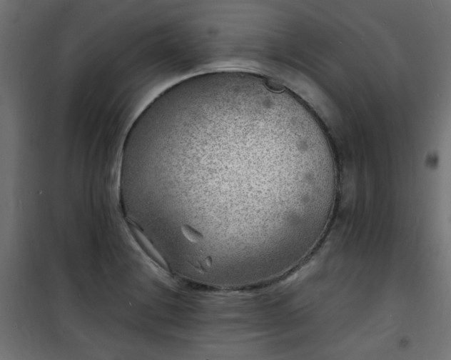X0000101481228200807141407