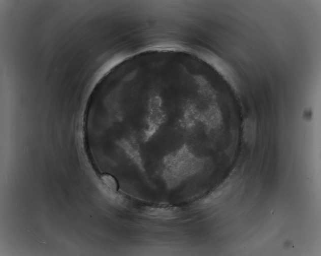 X0000101481229200807141407