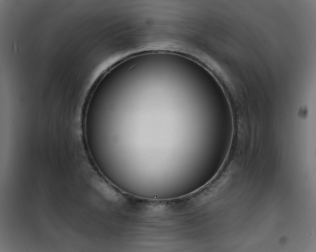 X0000101481230200807141407