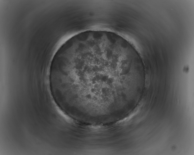 X0000101481231200807141407