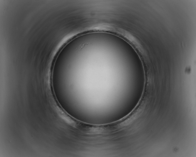 X0000101481232200807141407