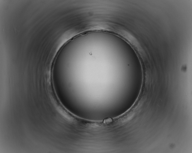 X0000101481234200807141407