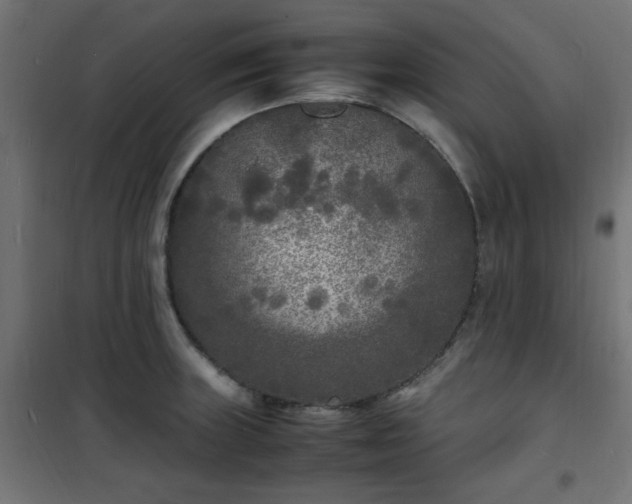 X0000101481235200807141407