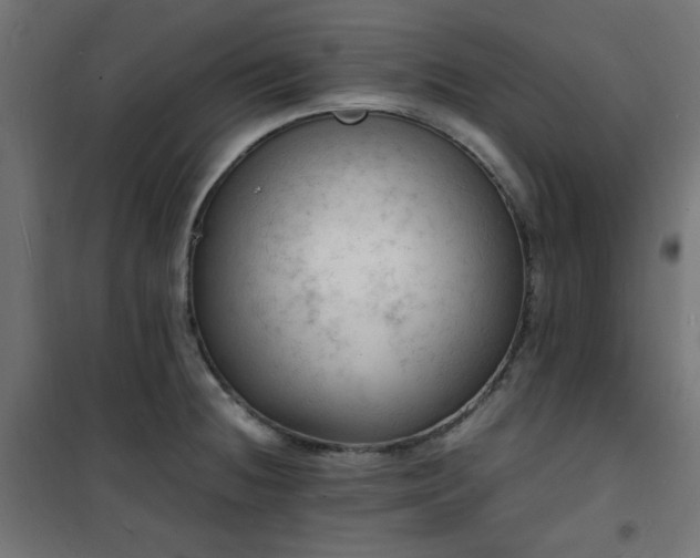 X0000101481236200807141407