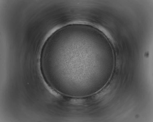 X0000101481237200807141407