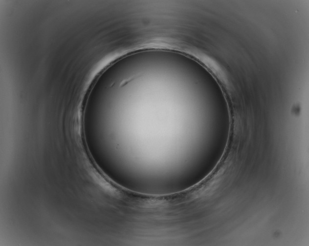 X0000101481238200807141407