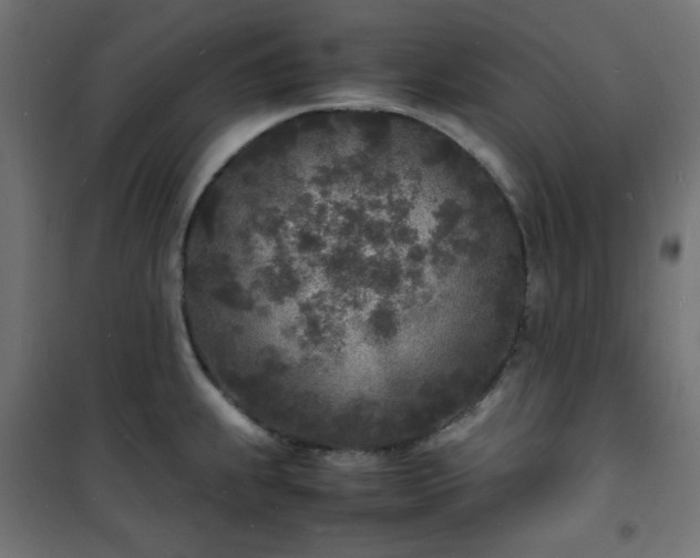 X0000101481239200807141407