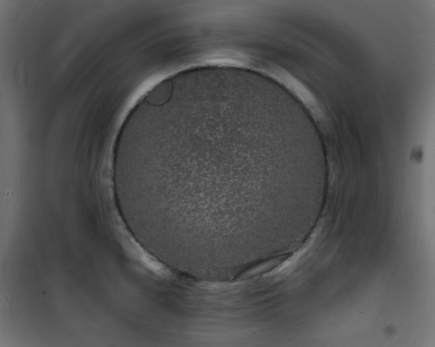 X0000101481240200807141407