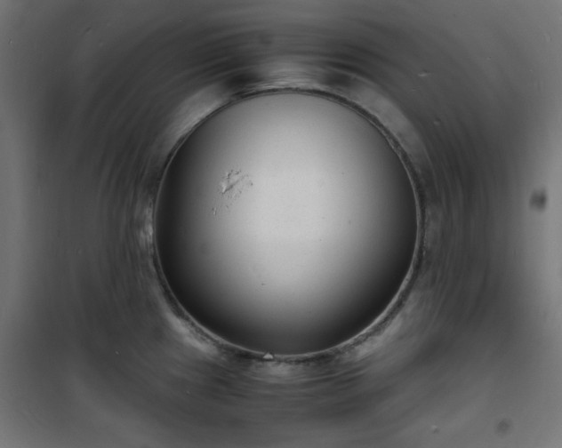 X0000101481241200807141407