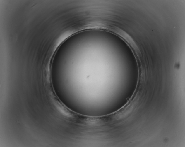 X0000101481242200807141407