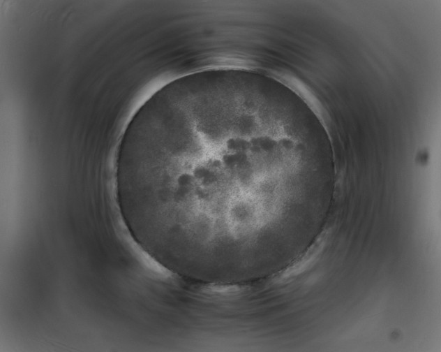 X0000101481243200807141407