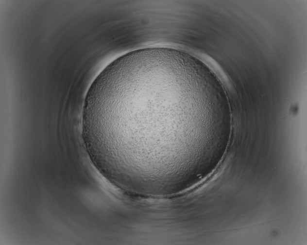 X0000101481244200807141407
