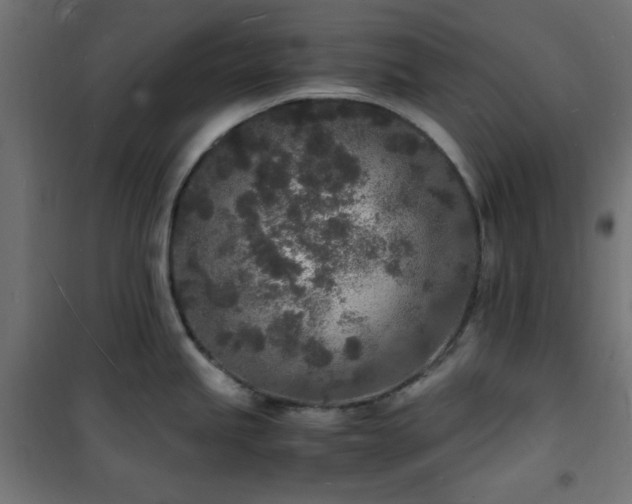X0000101481245200807141407