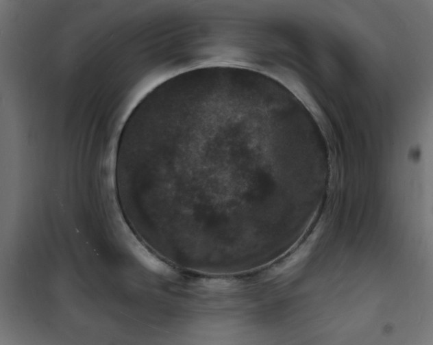 X0000101481246200807141407