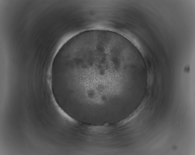 X0000101481247200807141407
