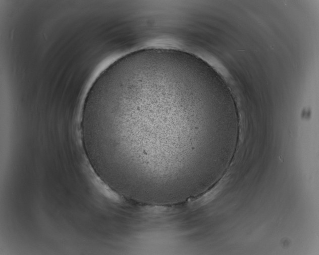 X0000101481248200807141407