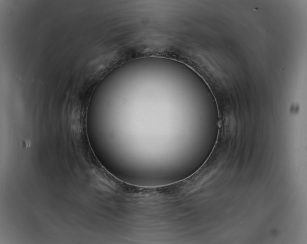 X0000101481250200807141407