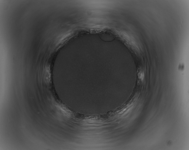 X0000101481252200807141407