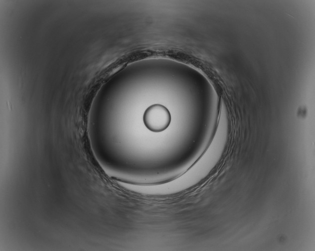 X0000101481253200807141406