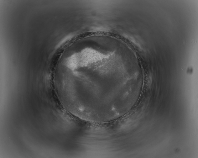 X0000101481254200807141406