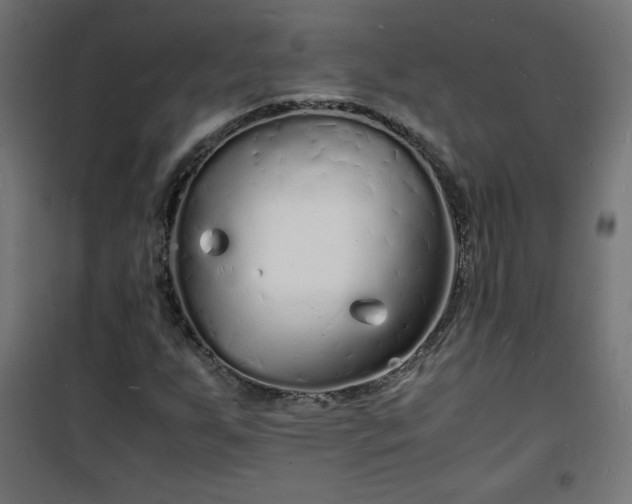 X0000101481255200807141406