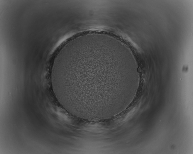 X0000101481256200807141406