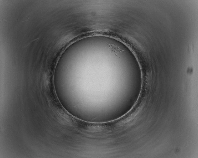 X0000101481257200807141406