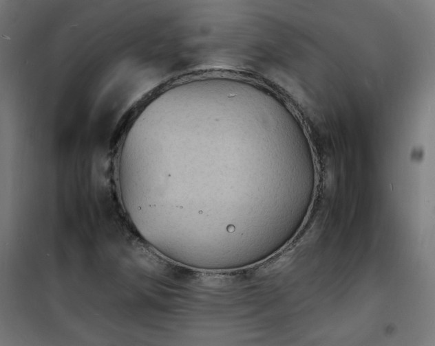 X0000101481258200807141406