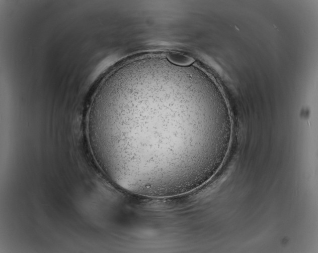 X0000101481259200807141406