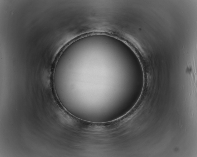 X0000101481260200807141406
