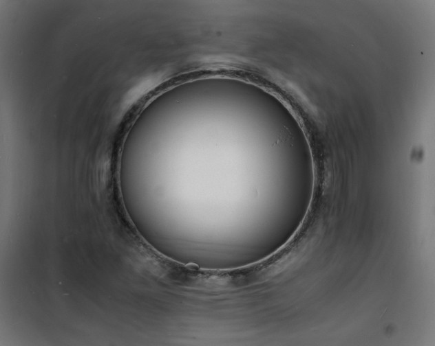 X0000101481261200807141406