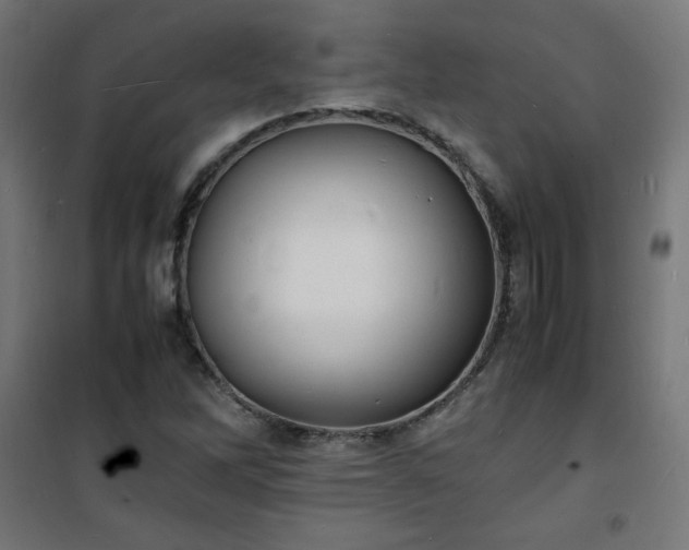 X0000101481262200807141406