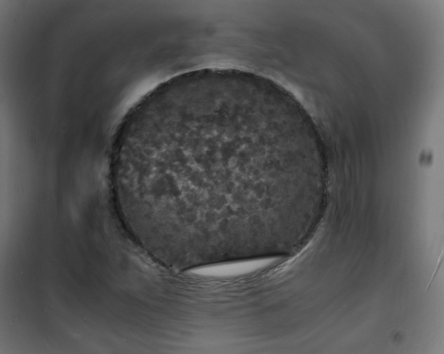 X0000101481263200807141406