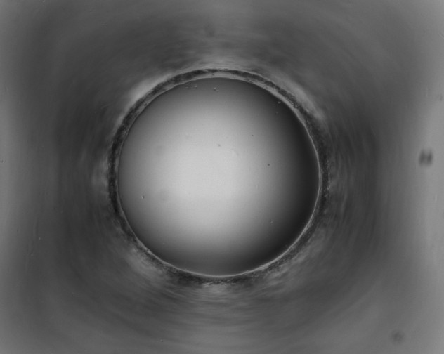 X0000101481264200807141406