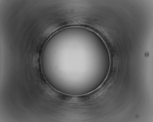 X0000101481265200807141406