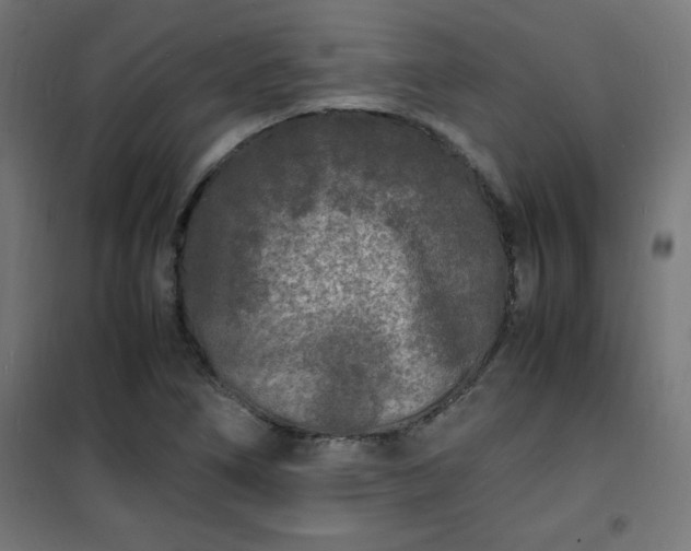 X0000101481266200807141406