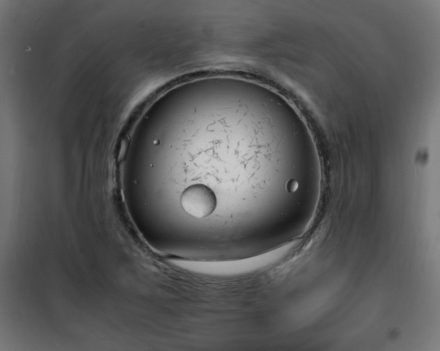 X0000101481267200807141406