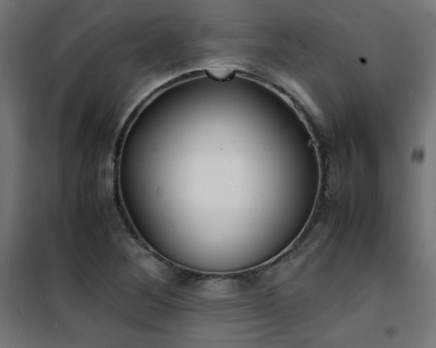 X0000101481268200807141406