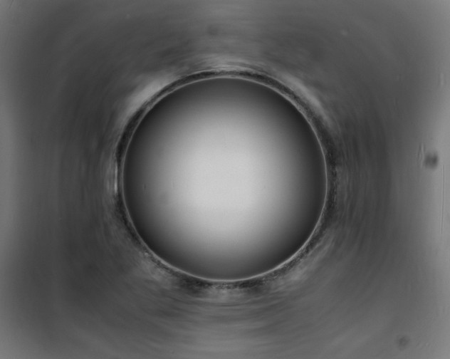 X0000101481269200807141406