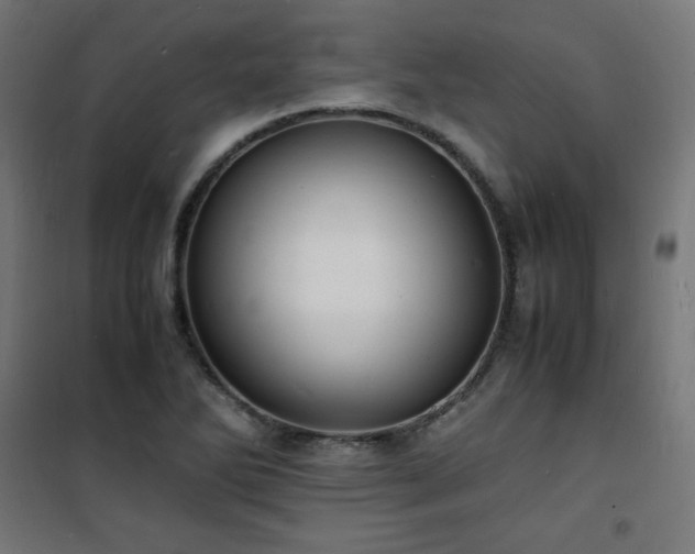 X0000101481270200807141406