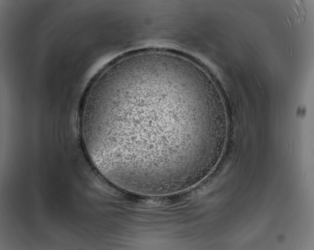 X0000101481271200807141406