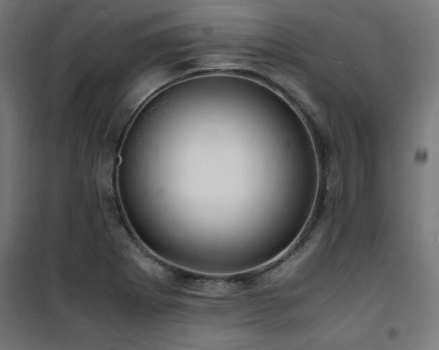 X0000101481273200807141406
