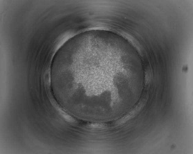 X0000101481274200807141406