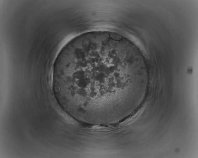 X0000101481275200807141406