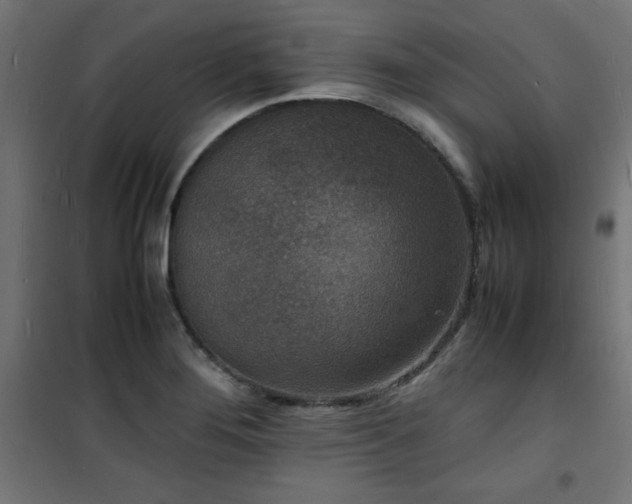 X0000101481276200807141406