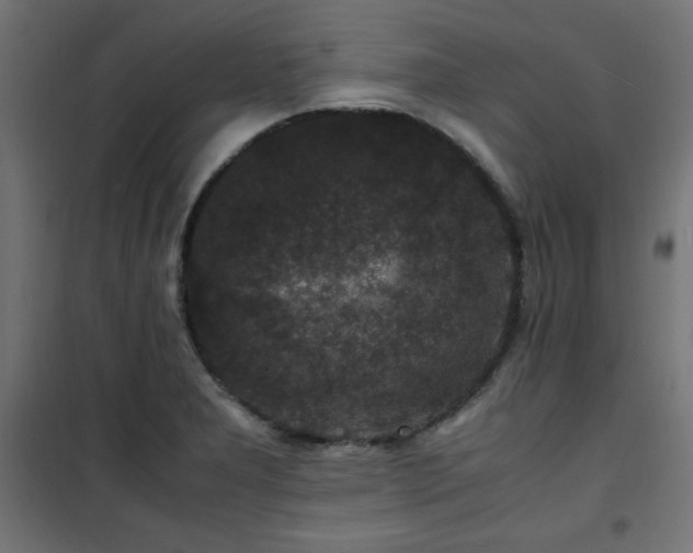 X0000101481277200807141406